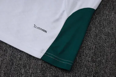 Imagem 10 do álbum 2026 Italy Training Soccer Vest
