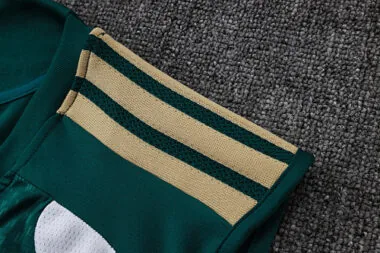 Imagem 4 do álbum 2026 Italy Training Soccer Vest