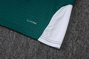 Imagem 9 do álbum 2026 Italy Training Soccer Vest