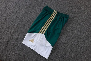 Imagem 18 do álbum 2026 Italy Training Soccer Vest