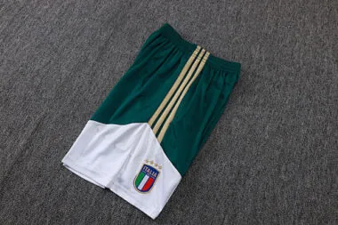 Imagem 19 do álbum 2026 Italy Training Soccer Vest