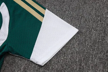 Imagem 6 do álbum 2026 Italy Player Short Sleeve+Pants