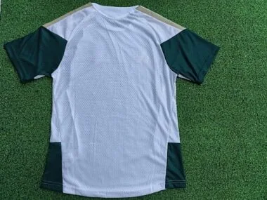 2026 Italy training player short sleeve album image 11
