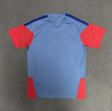 Immagine 2 dell’album Maglie da calcio per gli allenamenti in Giappone 2026