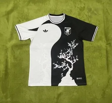 Maglie da calcio del Giappone 2024
