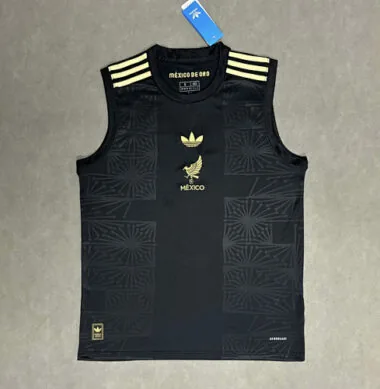 25-26 Mexico Training Soccer Vest