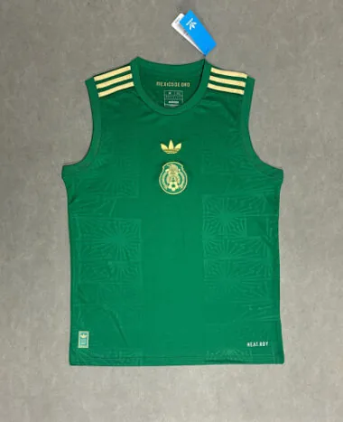 25-26 Mexico Training Soccer Vest