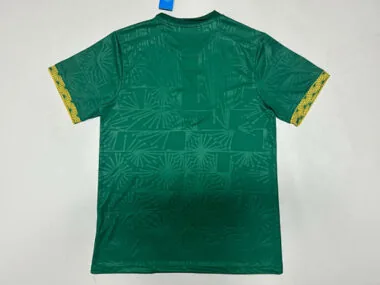 Afbeelding 2 van album 25-26 Voetbalshirts van Mexico