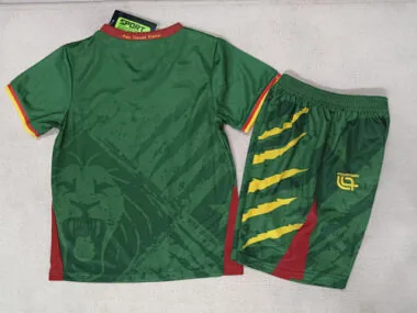 Afbeelding 2 van album 25-26 Kameroen thuisvoetbalshirts voor kinderen