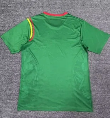 Afbeelding 2 van album 2024 Kamerun thuisvoetbalshirts
