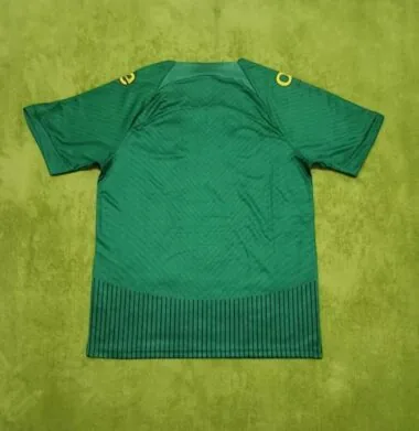 2023 Cameroon Special Soccer Jerseys album image 2