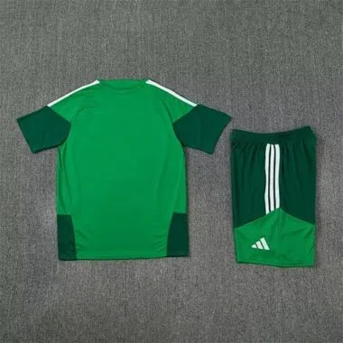 Afbeelding 2 van album 26-27 Algerije Trainingspak voetbal