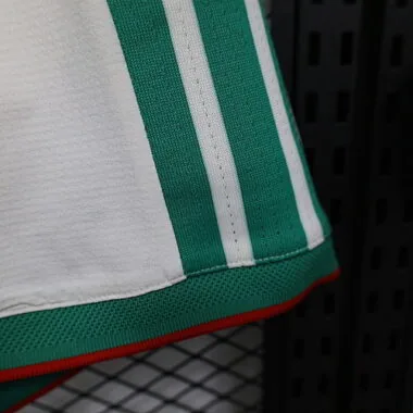 Imagem 4 do álbum 2025 Algeria Home Player Version