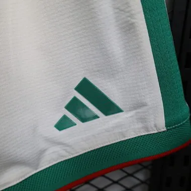 Imagem 5 do álbum 2025 Algeria Home Player Version