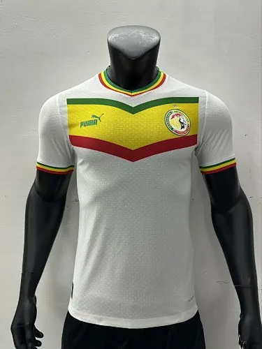 2023 Senegal thuisvoetbalshirts voor spelers