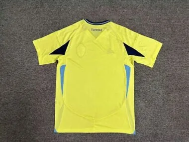 Imagem 2 do álbum 2024 Sweden Home Soccer Jerseys