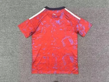 Image 2 de l’album Maillots de football domicile du Costa Rica n° 26 et 27