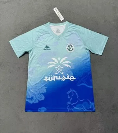25-26 Tunisia Training Soccer Jerseys