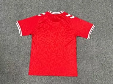 Image 2 de l’album 2024 Denmark Home Soccer Jerseys
