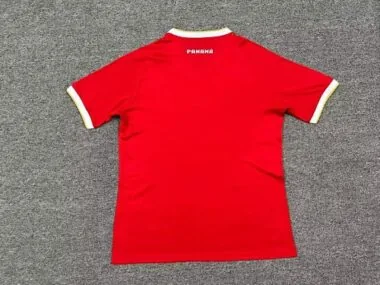 Imagem 2 do álbum 25-26 Panama Home Soccer Jerseys