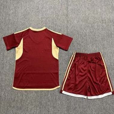 Afbeelding 2 van album 2024 Venezuela thuisvoetbalshirts voor kinderen
