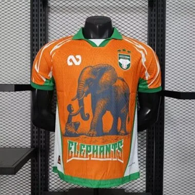 25-26 Voetbalshirts van Ivoorkust (spelersversie)