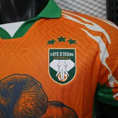 Afbeelding 2 van album 25-26 Voetbalshirts van Ivoorkust (spelersversie)