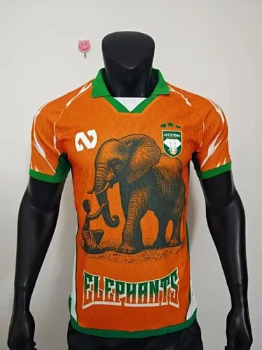 25-26 Voetbalshirts van Ivoorkust (spelersversie)