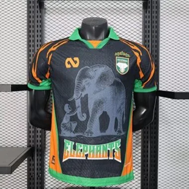 25-26 Voetbalshirts van Ivoorkust (spelersversie)