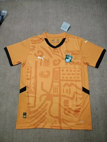 2024 Voetbalshirts van Ivoorkust (thuis)