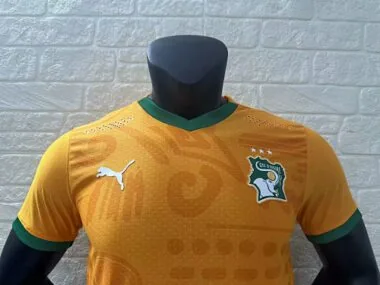 Afbeelding 3 van album 2024 Ivoorkust: voetbalshirts voor thuiswedstrijden (spelersversie)