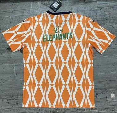 Immagine 2 dell’album Maglie da calcio della nazionale della Costa d’Avorio 2023