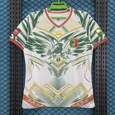 2026 Mali Special Soccer Jerseys