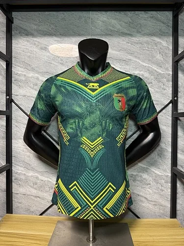 2026 Mali Special Player Version Soccer Jerseys