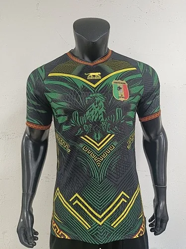 2026 Mali Special Player Version Soccer Jerseys