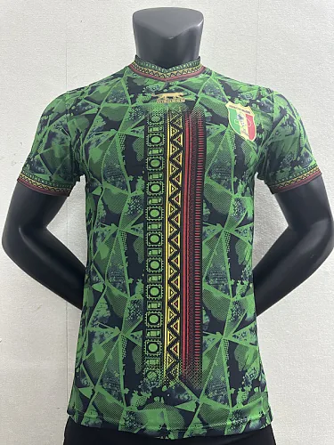 2023 Mali Away Player Version Soccer Jerseys
