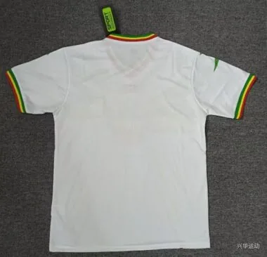 Imagen 2 del álbum 2023 Mali Away Soccer Jerseys