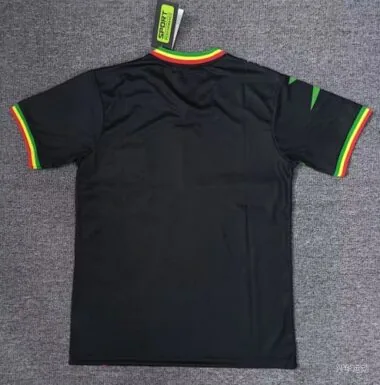 Afbeelding 2 van album 2023 Mali Third Soccer Jerseys