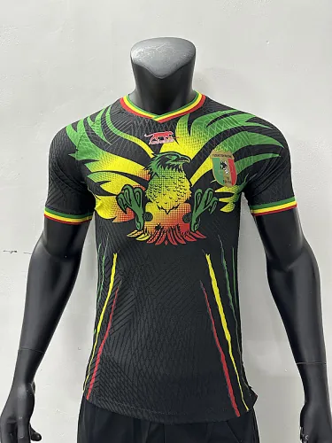 2023 Mali Third Player Version Soccer Jerseys