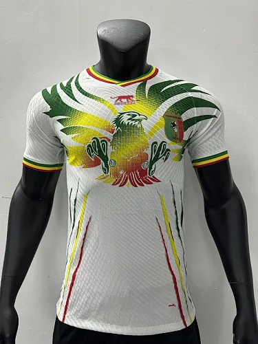 2023 Mali Home Player Version Soccer Jerseys