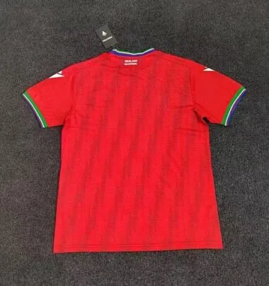 Immagine 2 dell’album 26-27 Guinea Away Soccer Jerseys
