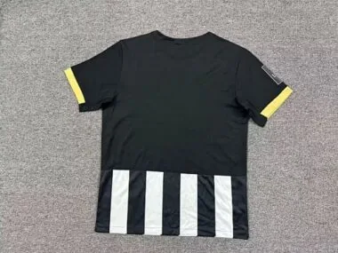 Image 2 de l’album Maillots de football domicile de l’Angers FC 25-26