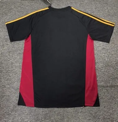 25-26 Roma Special Soccer Jerseys Albumbild 2