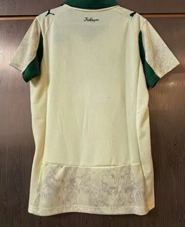 Imagem 2 do álbum 25-26 Palmeiras Third Soccer Jerseys
