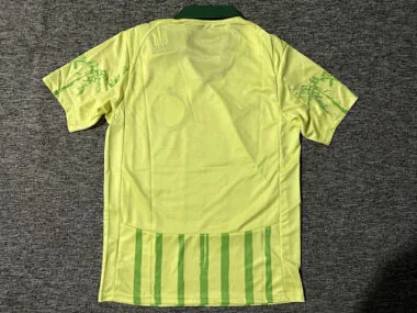 Afbeelding 2 van album 25-26 Palmeiras Away Soccer Jerseys