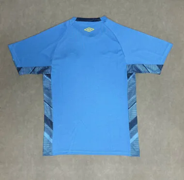 25-26 Gremio Goalkeeper Soccer Jerseys Albumbild 2