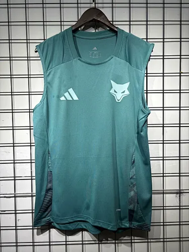 Camiseta de entrenamiento de fútbol del Cruzeiro 25-26