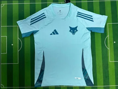 Camisetas de fútbol del Cruzeiro de las temporadas 25-26