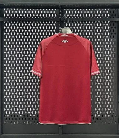 25-26 Fluminense Third Soccer Jerseys Albumbild 2