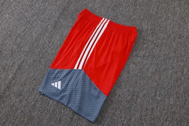 Immagine 18 dell’album 26-27 Internacional Training Soccer Suit